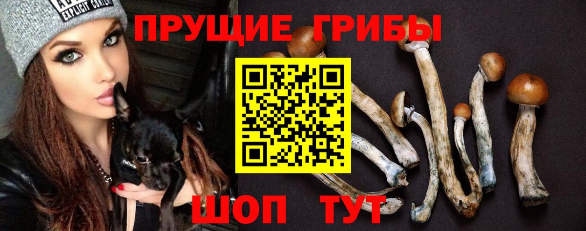 Нягань  Галлюциногенные грибы Psilocybe  Вход с VPN 