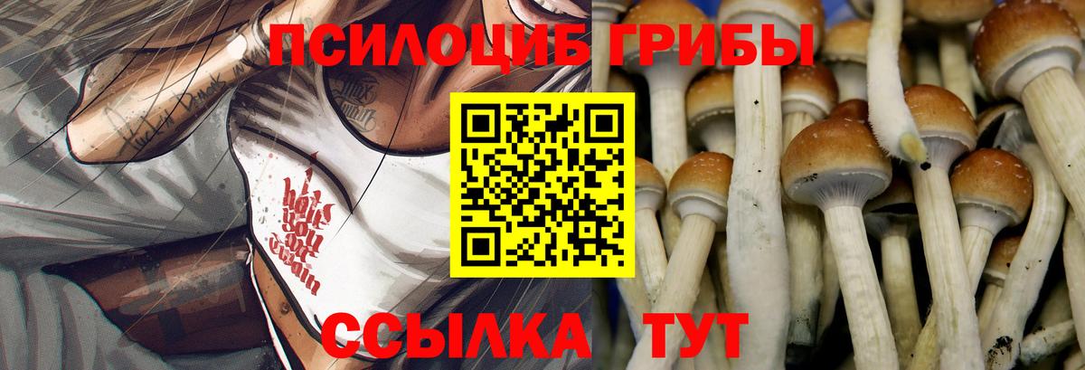 Галлюциногенные грибы прущие грибы Нягань